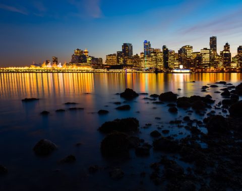 pexels-james-wheeler-2773578