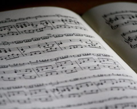 pexels-pixabay-164821