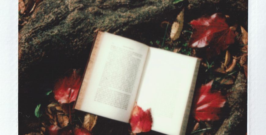 pexels-rikka-ameboshi-3358707