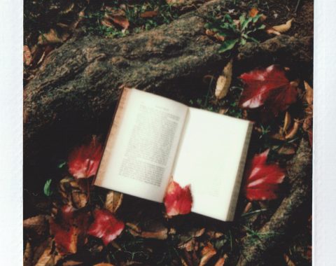 pexels-rikka-ameboshi-3358707