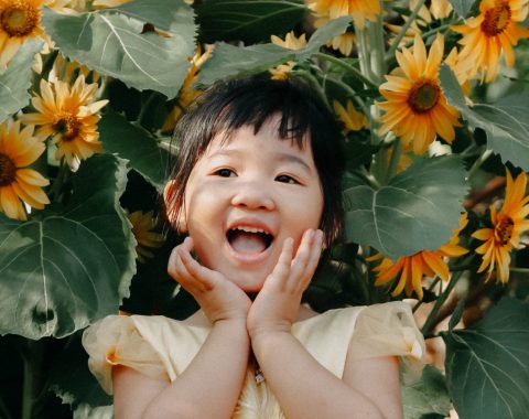 pexels-nghia-pm-2048716 pexels-nghia-pm-2048716